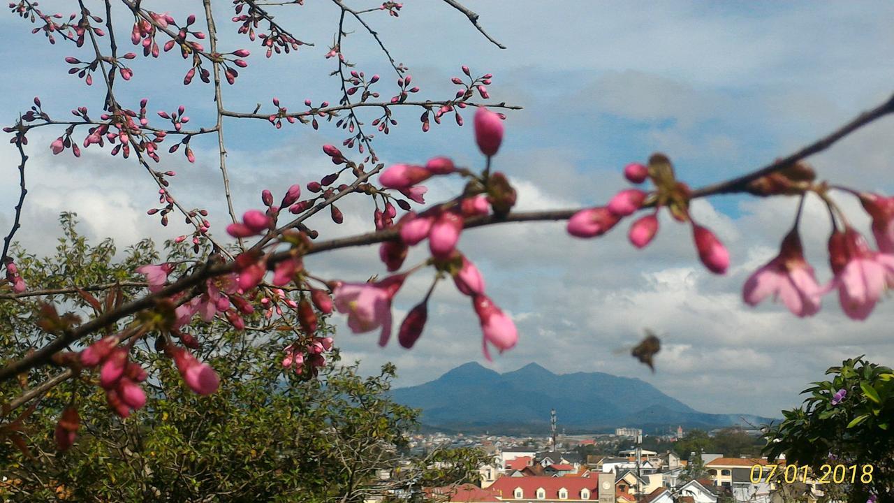 Homstay An Nhien Da Lat Dış mekan fotoğraf